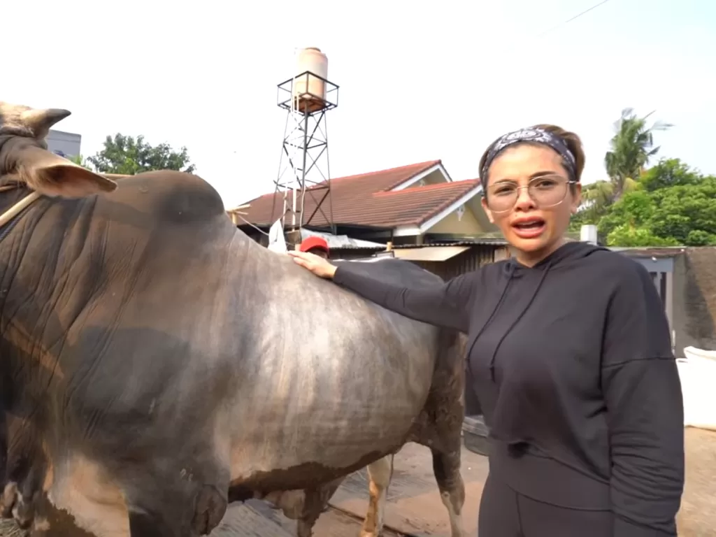Nikita Mirzani saat membeli sapi untuk kurban di hari raya Idul Adha tahun 2020. (photo/Youtube/Crazy Nikmir REAL)