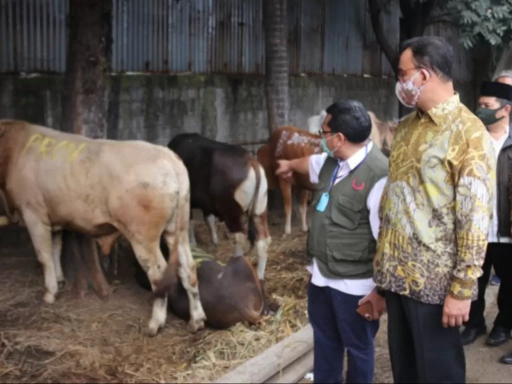Gubernur DKI Jakarta Anies Baswedan menyerahkan sapi kepada lembaga amil dan kemanusiaan di kantor PD Dharma Jaya, Penggilingan, Cakung, Jakarta Timur, pada Kamis (30/7/2020). (Photo/ANTARA/HO-Humas Pemprov DKI)