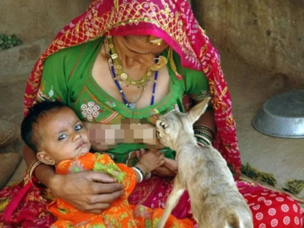 Aksi ibu suku Bishnoi menyusui rusa. (Facebook/@ebishnoism)