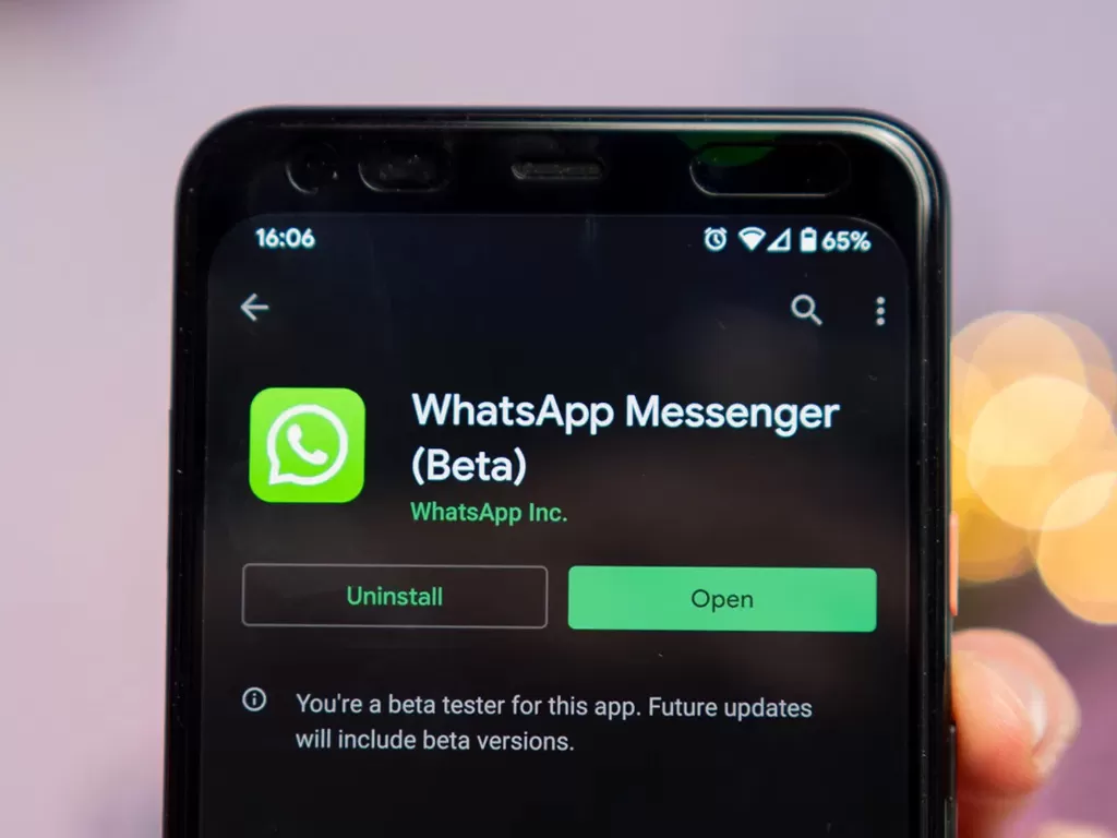 WhatsApp Messenger di Google Play Store (photo/9to5Google)