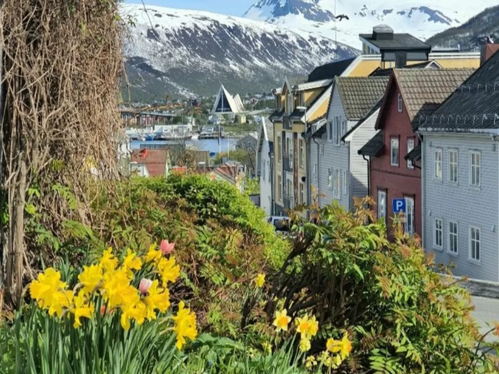Tromso, kota bunga di Norwegia. (Istimewa)