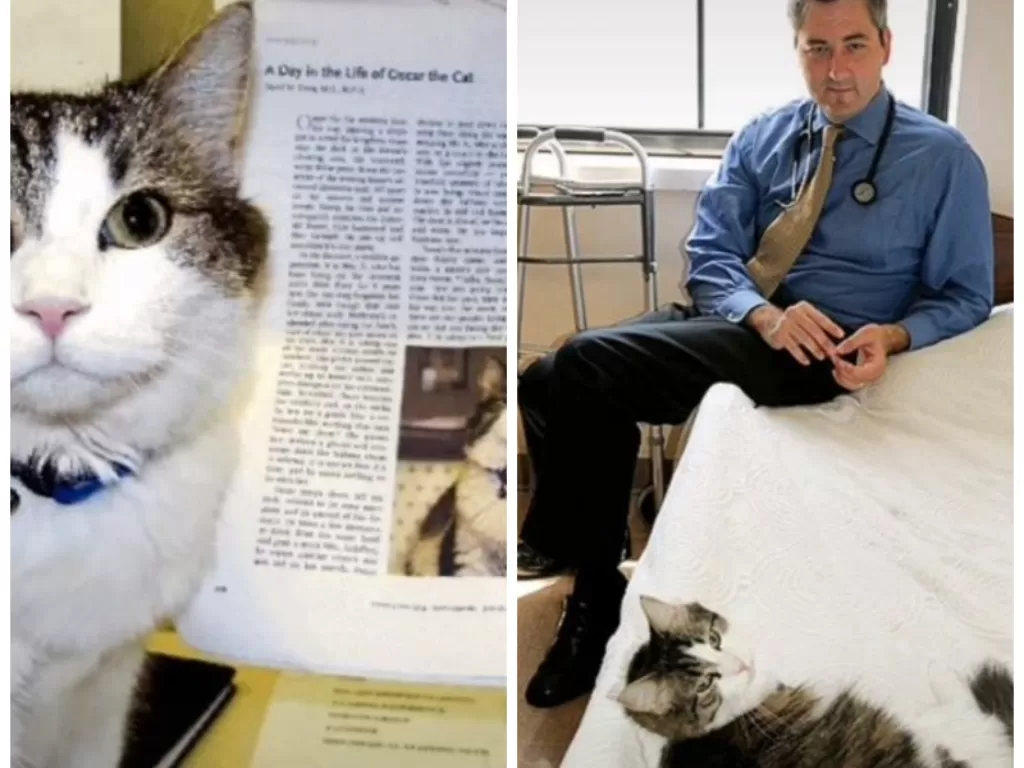 Oscar si Kucing Peramal Kematian. (TikTok/@willyardan)