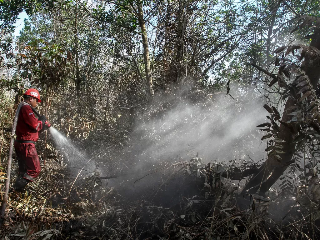Kebakaran hutan dan lahan (Karhutla) melanda Kota Pekanbaru, Riau, pada Minggu (16/8/2020). ANTARA FOTO/Rony Muharrman
