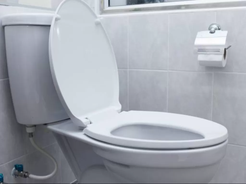 Ilustrasi tutup toilet terbuka (nalc.gov.uk)