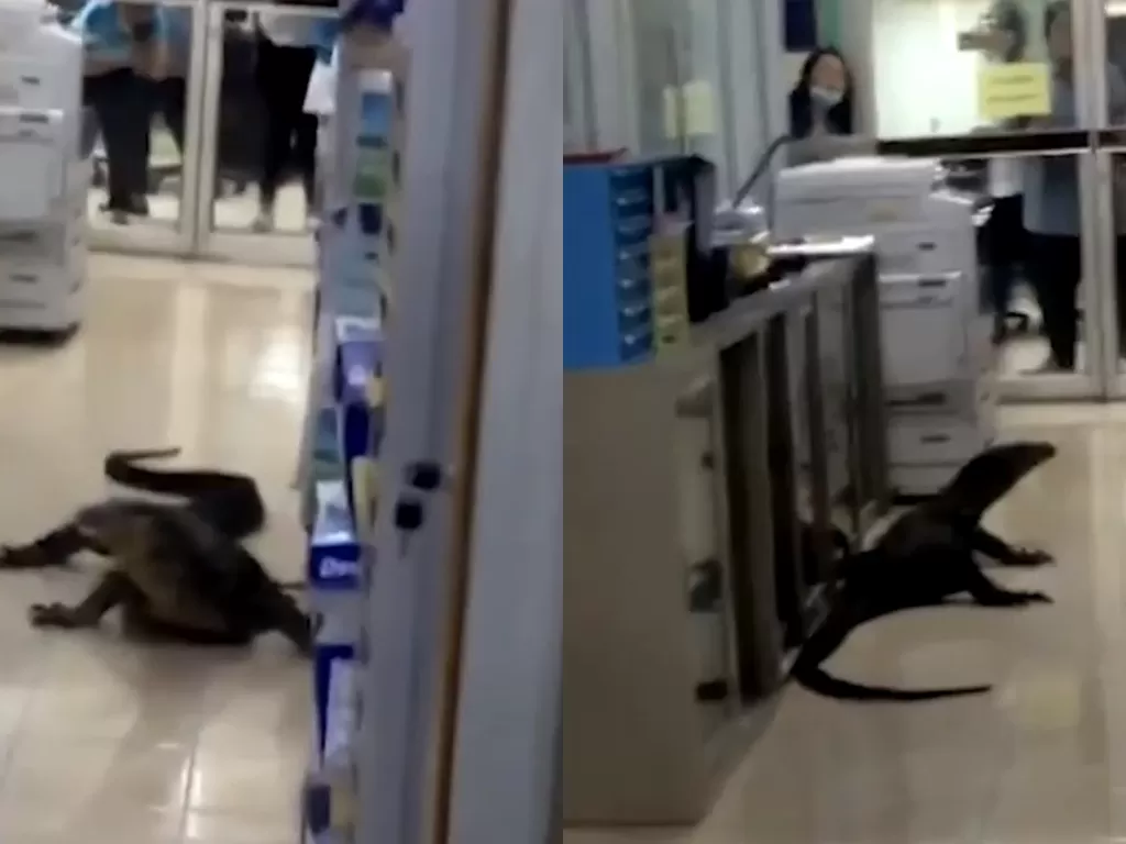 Seekor biawak besar saat masuk ke salah satu kantor di Thailand. (photo/Youtube/ViralPress)