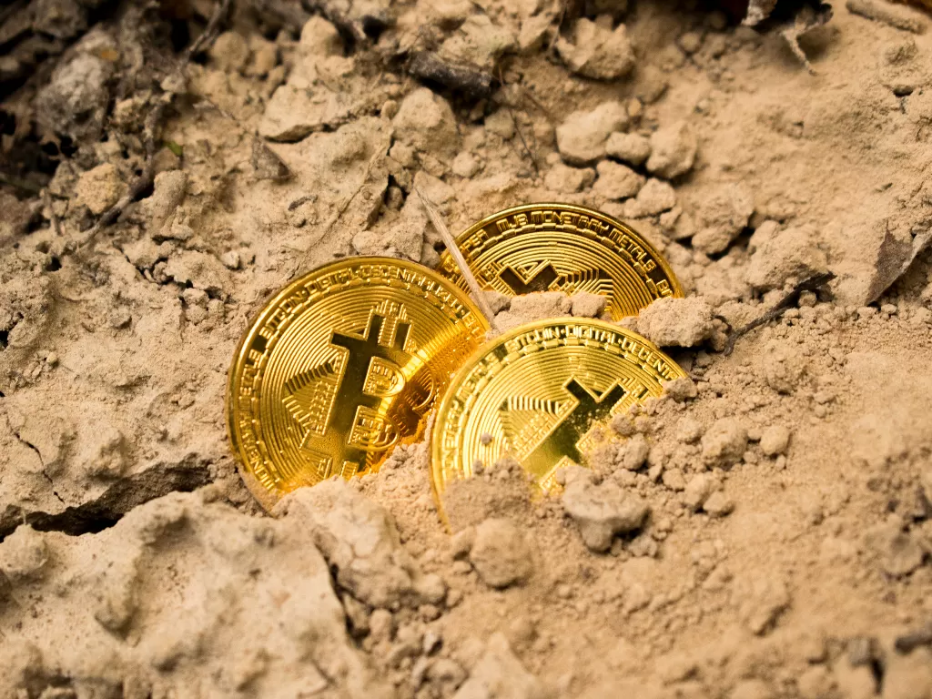 Ilustrasi koin emas dalam tanah. (Unsplash/@wildbook)