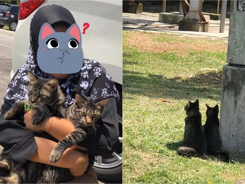 Wanita buang kucing peliharaan (Facebook/Persatuan Haiwan Terbiar Malaysia - SAFM)