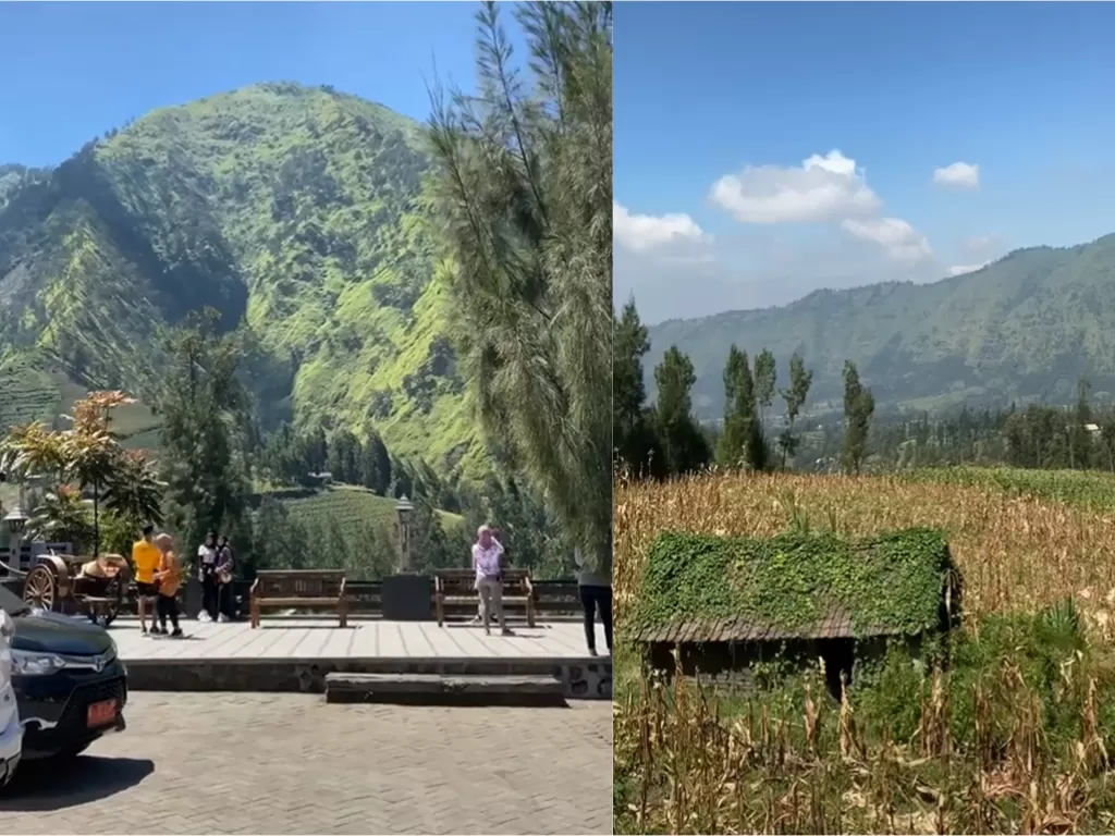 Objek wisata di Bawangan, Bromo yang lagi viral (TikTok/estehmanies)