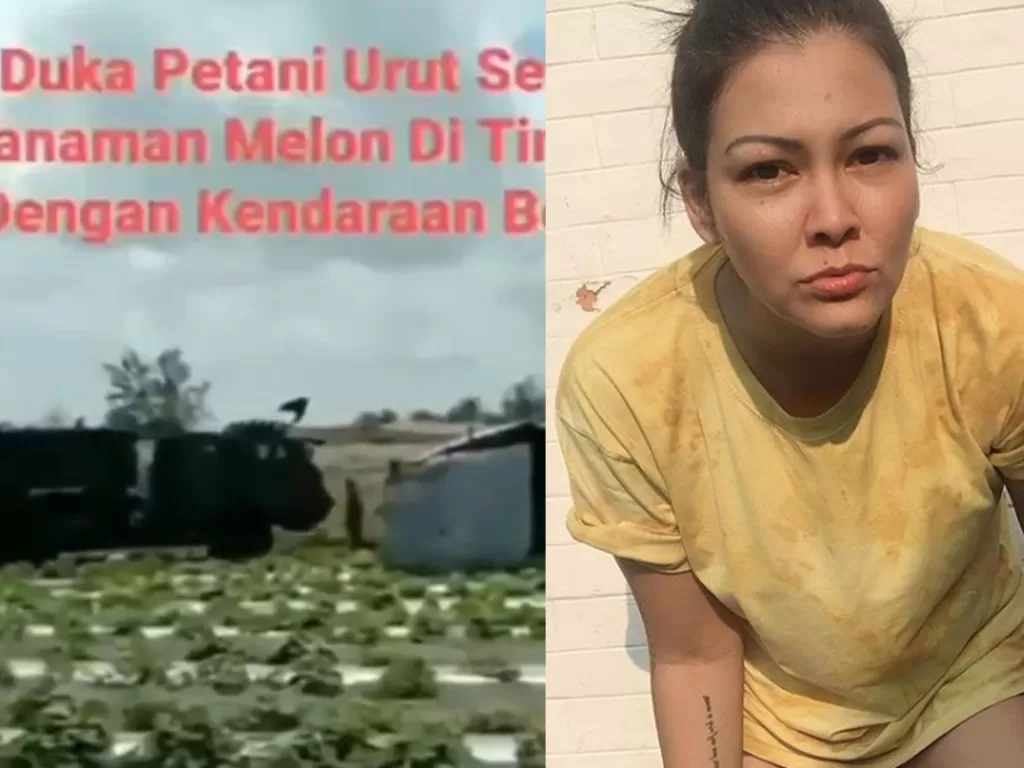 Cuplikan viral video ladang melon petani Urutsewu dan Melanie Subono. (@melaniesubono)
