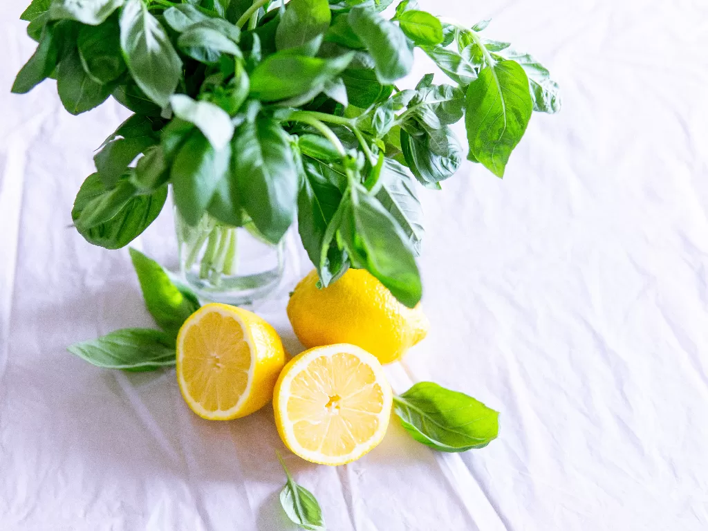 Lemon untuk meningkatkan pertumbuhan rambut (Pexels/Elle Hughes)