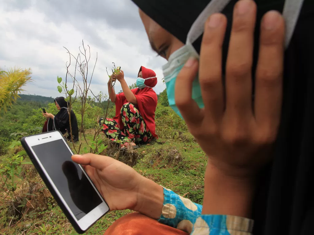 Sejumlah pelajar dan mahasiswa mengikuti proses belajar mengajar dalam jaringan (daring) di atas pengunungan supaya bisa mendapat sinyal di Desa Cangai, Pante Ceureumen, Aceh Barat, Aceh, Rabu (26/8). (ANTARA FOTO/Syifa Yulinnas)