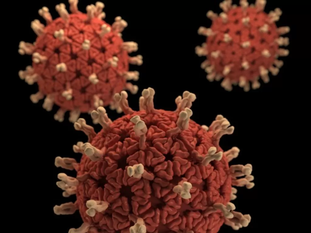 Ilustrasi virus corona (Unsplash/CDC)