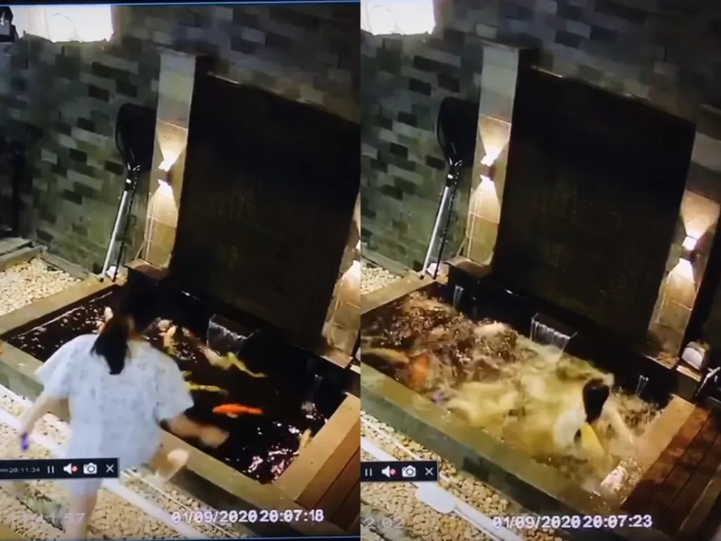  Potongan video saat wanita terjatuh dalam kolam ikan. (photo/TikTok/@jennifercarlise)