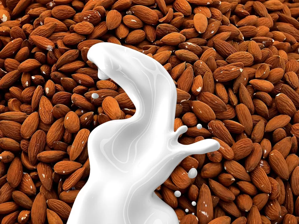 Susu almond (Pixabay/Lisa Redfern)