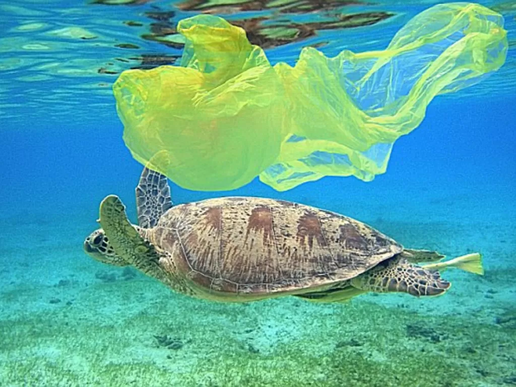 Ilustrasi sampah plastik di dalam laut. (dailymail.co.uk)