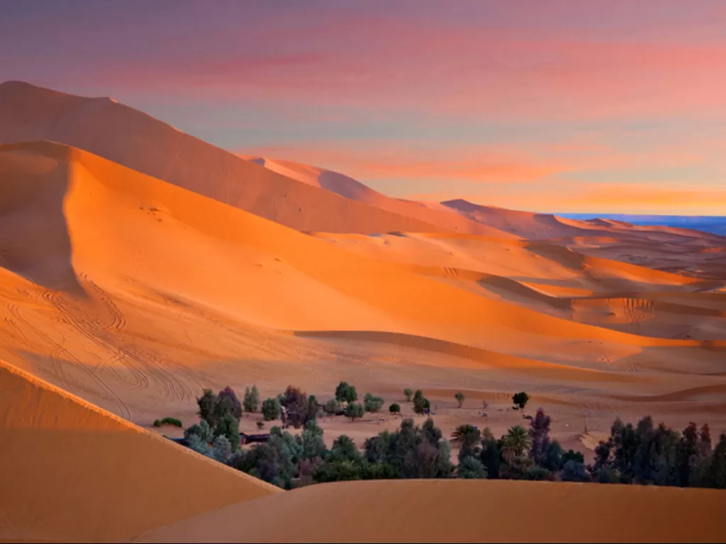 Gurun Sahara. (onthegotours.com)