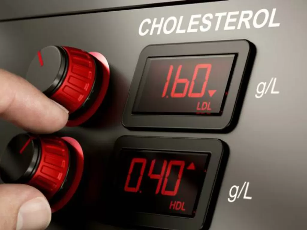 Ilustrasi kolesterol (Istimewa)