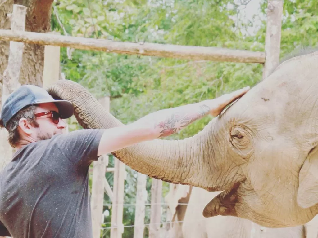Gajah di Thailand (Instagram/helpelephants)