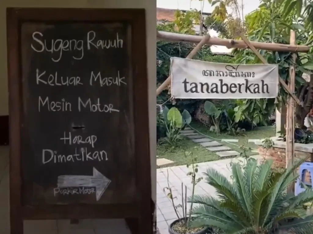 Coffee Shop Tanaberkah (TikTok/@stvn666)