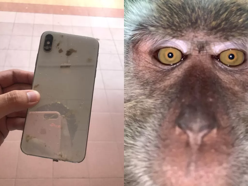 Pria yang temukan hapenya di hutan dan ada foto selfie monyet di dalamnya. (photo/Facebook/Zackrydz Rodzi)