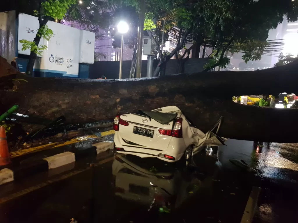 Pohon tumbang hancurkan mobil yang terpakir. (dok Satlantas Polres Metro Jakarta Pusat).