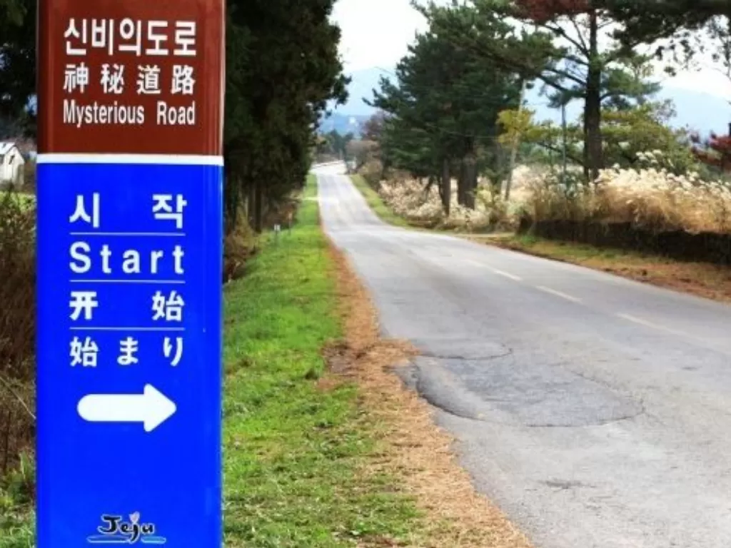 Jalan misterius di Pulau Jeju. (blog.naver.com)
