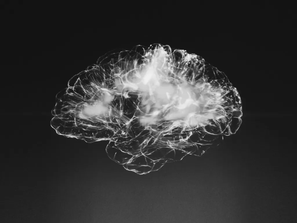 Ilustrasi otak manusia dalam tampilan monokrom (photo/Unsplash/Alina Grubnyak)