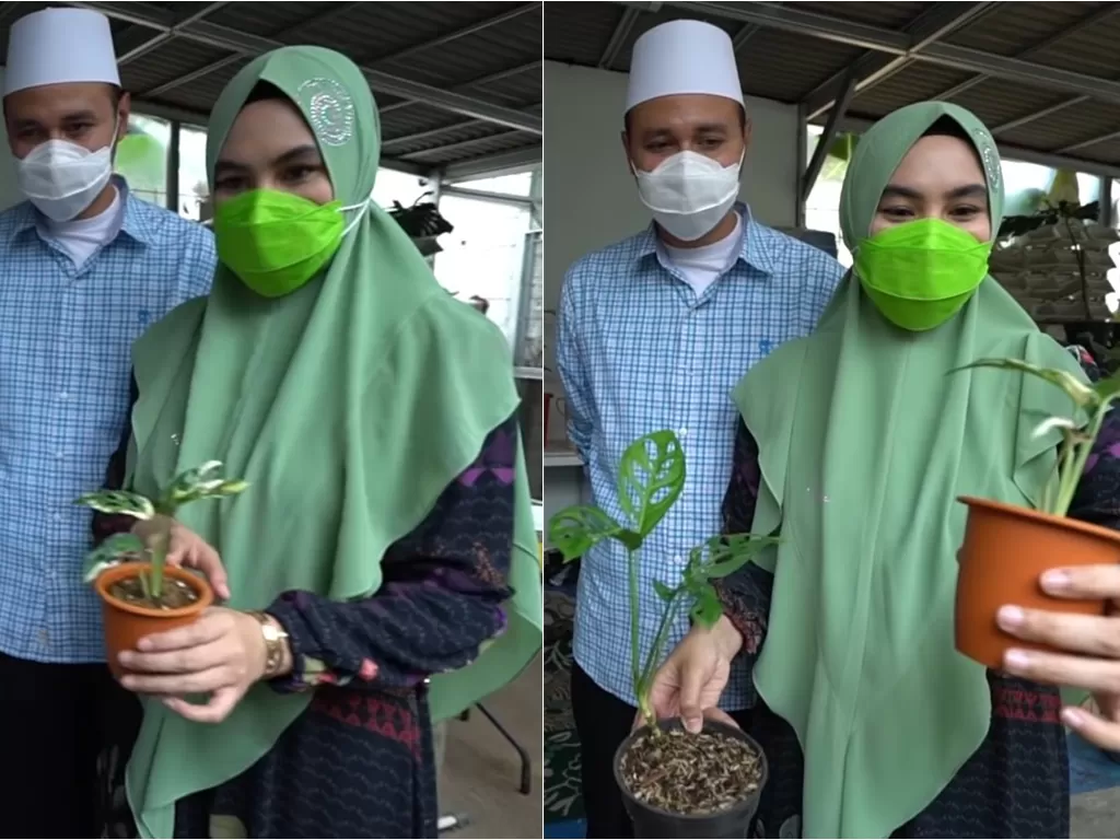Kartika Putri dan suami berburu tanaman hias. (YouTube/Kartika Putri Official)