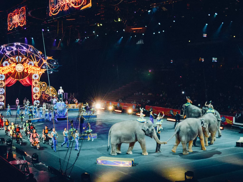 Ilustrasi sirkus yang melibatkan gajah. (Unsplash/@beckyphan)