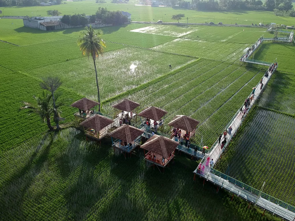 Ilustrasi - Aerial objek wisata sawah di Desa Huntu Selatan, Kabupaten Bone Bolango, Gorontalo, Minggu (27/9/2020). (Photo/ANTARA FOTO/Adiwinata Solihin)