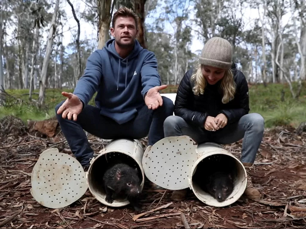 Chris Hemsworth dan istrinya Elsa Pataky bereaksi saat mereka melepaskan Tasmanian Devil ke alam liar di Barrington Tops, Australia, 10 September 2020 (REUTERS/AUSSIE ARK)