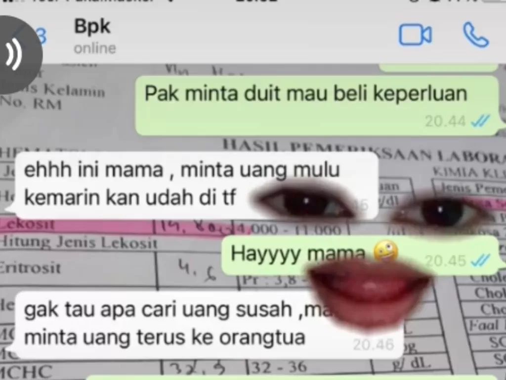 Seorang anak ribut dengan ibu tirinya di chat WhatsApp (Tiktok)