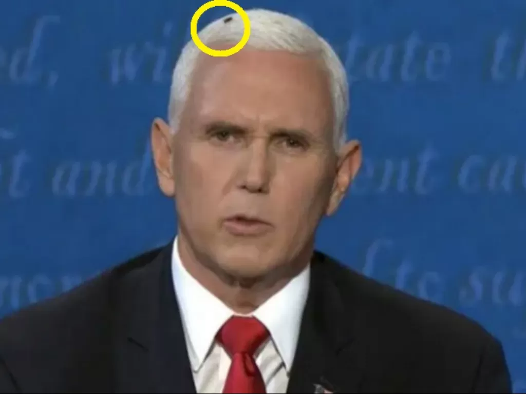 Seekor lalat hinggap di kepala cawapres AS Mike Pence saat debat. (Twitter/@GiZOtheElement).