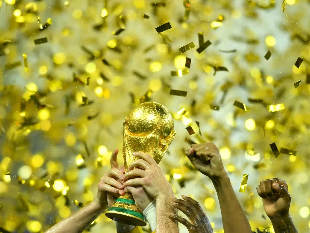 Piala Dunia (REUTERS/Dylan Martinez)
