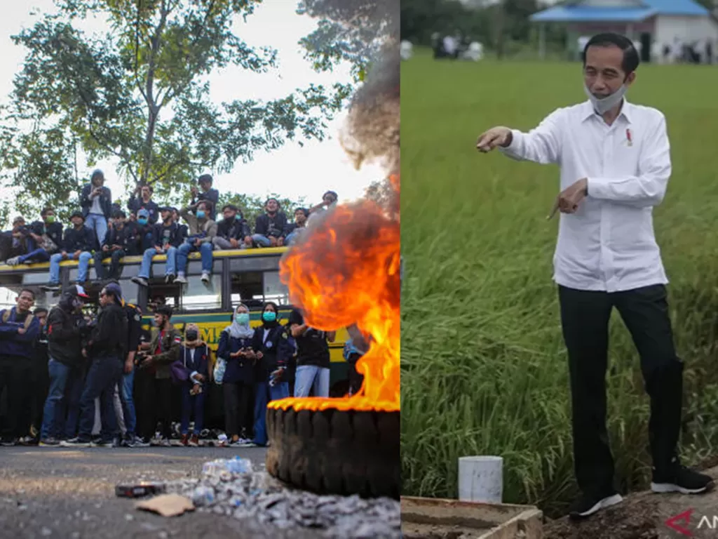 Kiri: Sejumlah mahasiswa demo di Tugu Adipura, Tangerang, Rabu (7/10/2020). ANTARA FOTO/Fauzan. Kanan: Presiden Jokowi meninjau food estate di Pulau Pisang. ( ANTARA FOTO/Makna Zaezar)