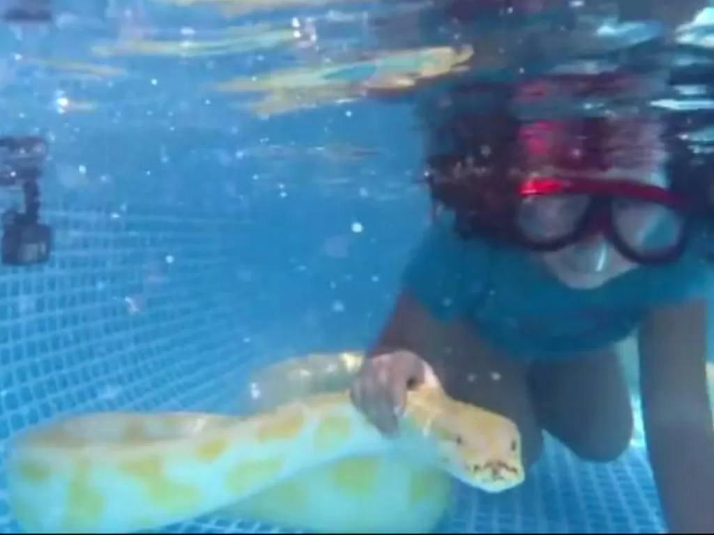 Tangkapan layar video gadis berenang dengan ular piton. (REUTERS)