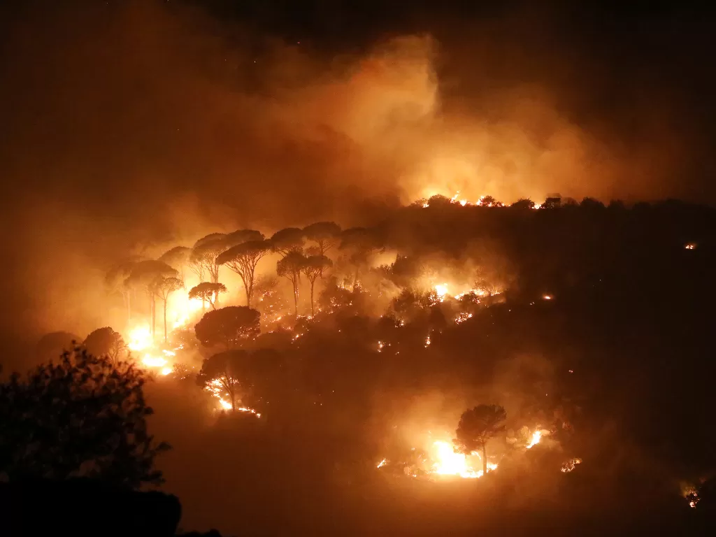Kebakaran hutan membakar hutan di desa Chbaniyeh, Lebanon (REUTERS/Mohamed Azakir)