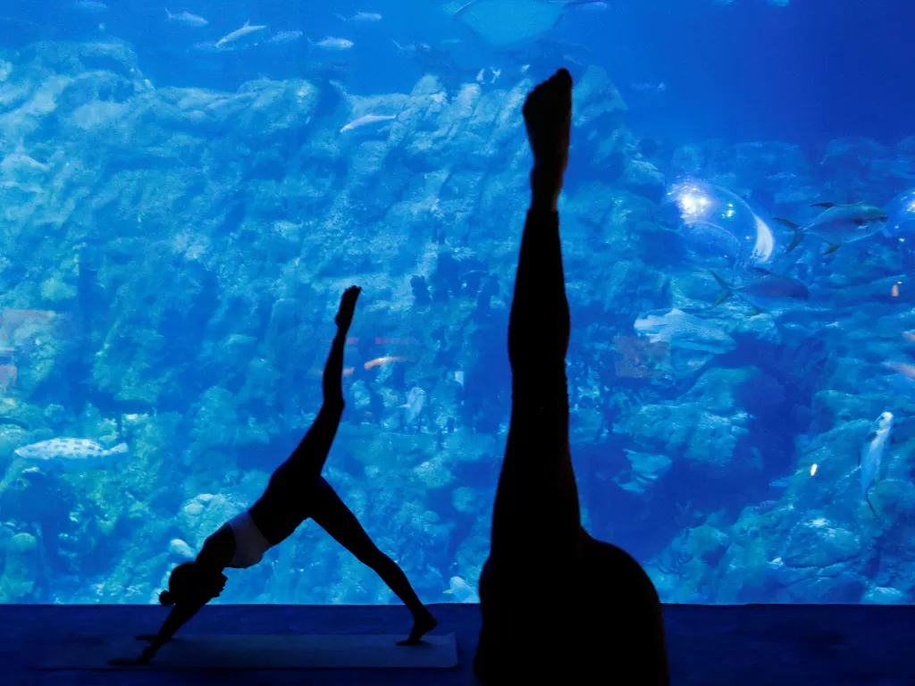 Akuarium yoga di Hong Kong. (REUTERS/TYRONE SIU)