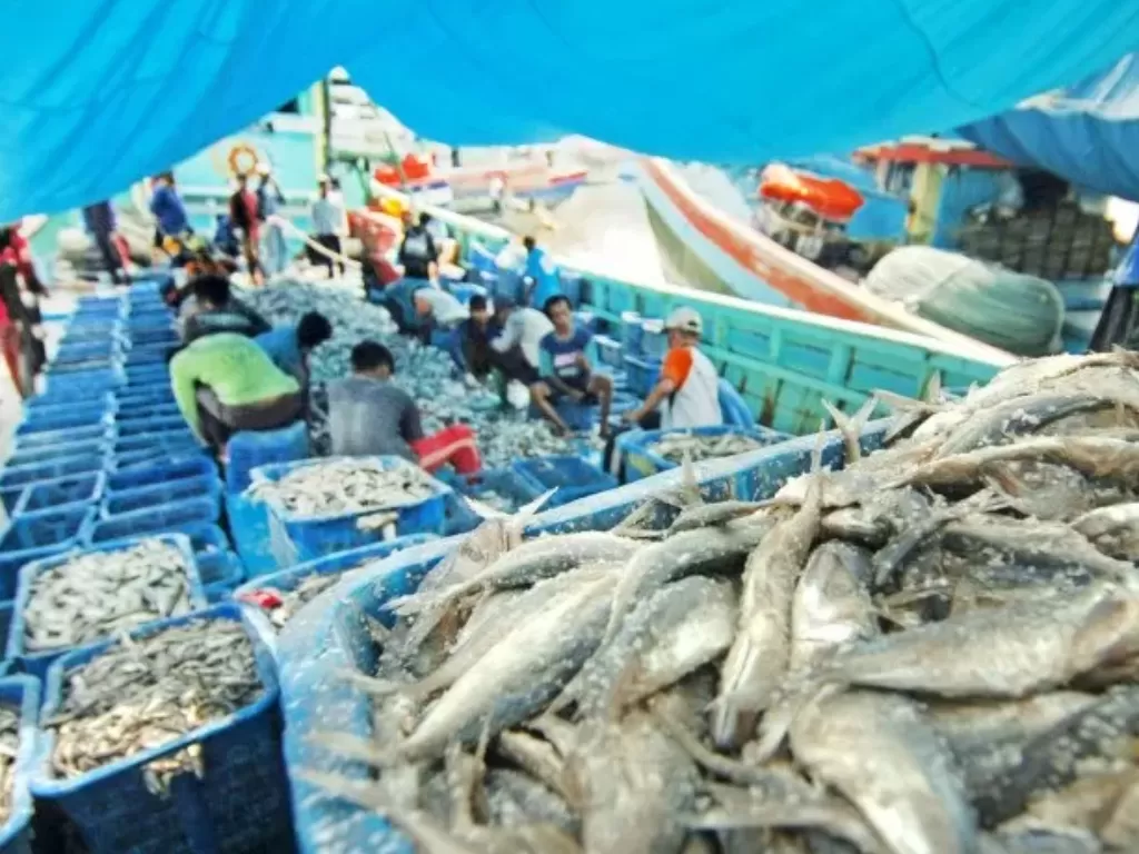 Sejumlah nelayan memilih berbagai jenis ikan di atas kapalnya saat bersandar di Pelabuhan Tegal, Jawa Tengah, Senin (23/9/2019). (Photo/Ilustrasi/ANTARA FOTO/Oky Lukmansyah)