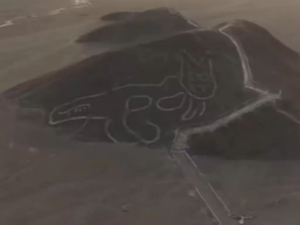 Geoglyph seekor kucing besar kuno di gurun lereng bukit Peru. (Screenshoot/YouTube/euronews.com)