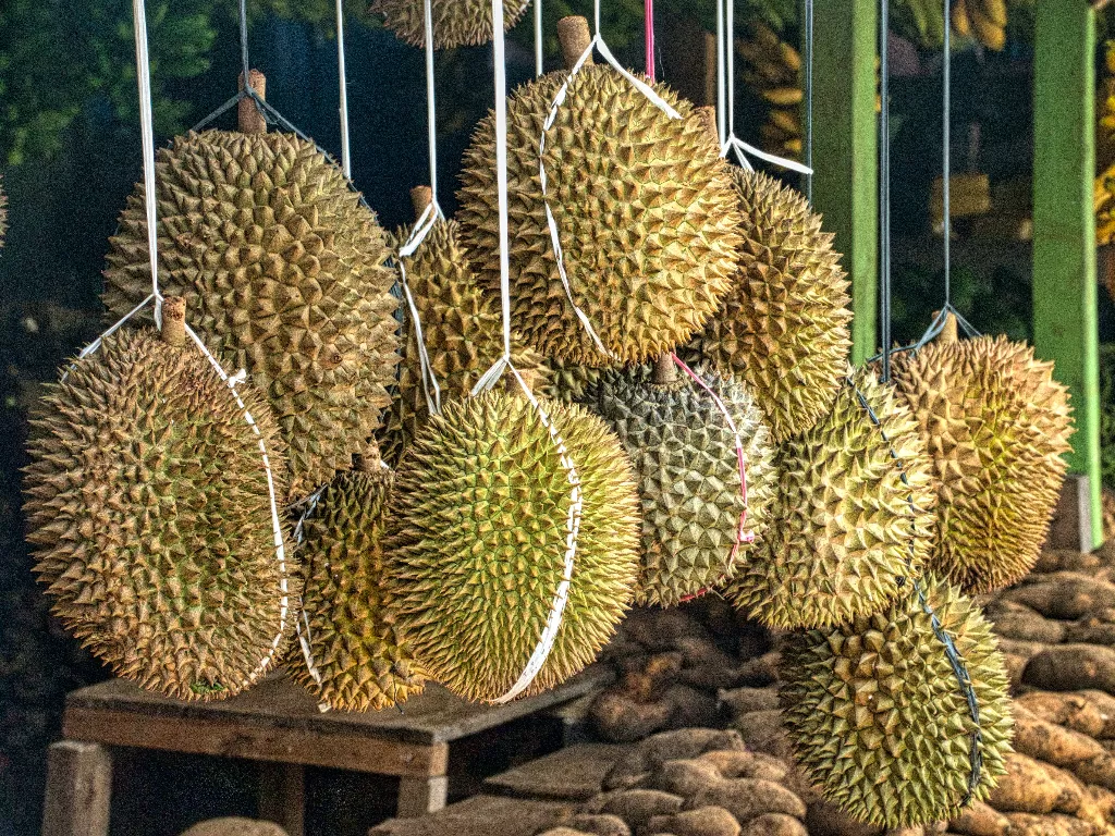 Durian (Pexels/Tom Fisk)
