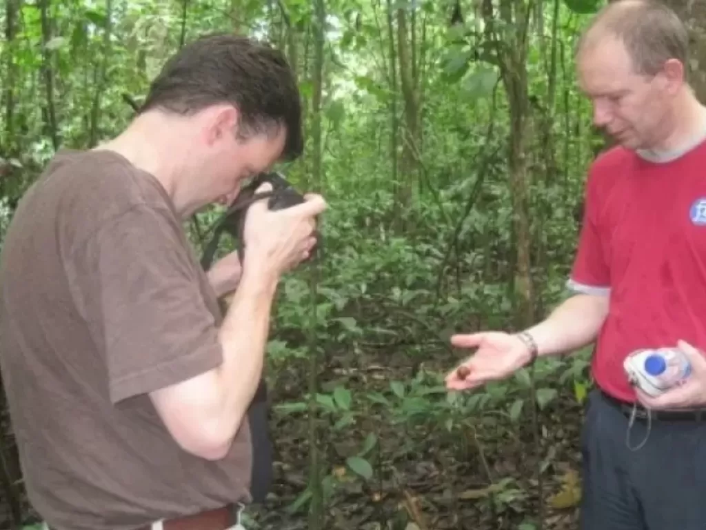 Dua orang peneliti asing yakni Marc Ancrenaz, Scientific Director Conservation Program Kinibatangan Orang Utan Kinabalu Malaysia (baju merah). (Photo/Ilustrasi/Adi Sagaria/ANTARA)