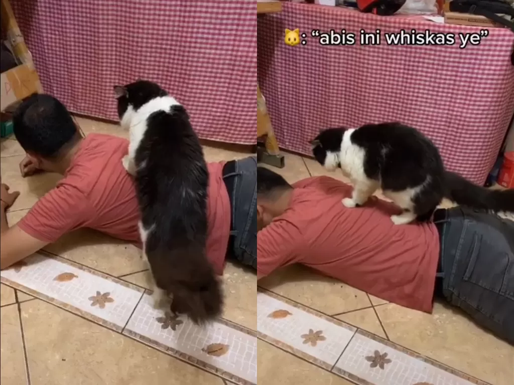 Cuplikan video kucing yang suka memijat tubuh majikannya. (photo/TikTok/@yulizanabilla)