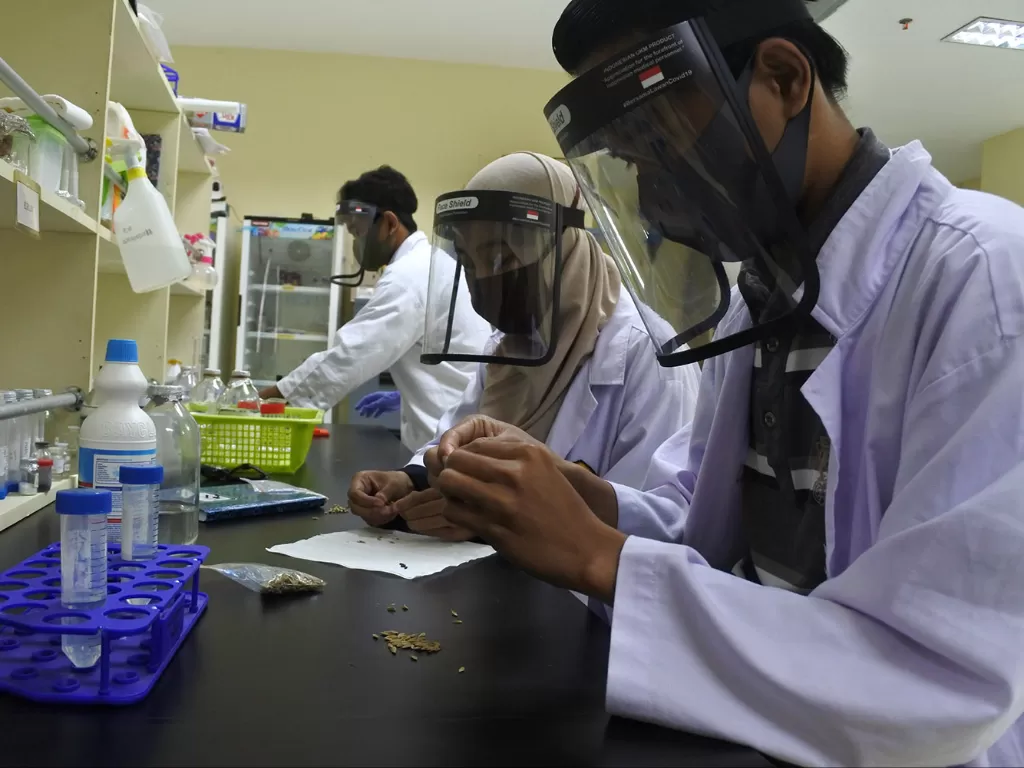 Sejumlah mahasiswa meneliti bibit padi hasil kultur jaringan di Laboratorium Pusat Unggulan Ipteks. (Photo/Ilustrasi/ANTARA FOTO/Seno)