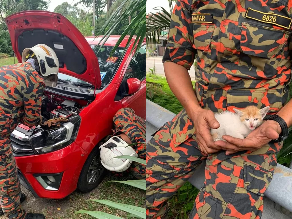 Kucing terjebak di kap mobil. (Facebook/Boomba Malaysia)