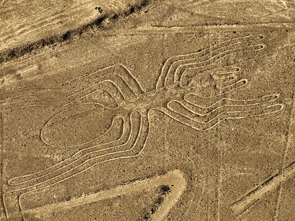  Geoglyph Garis Nazca yang berbentuk laba-laba. (history.com)