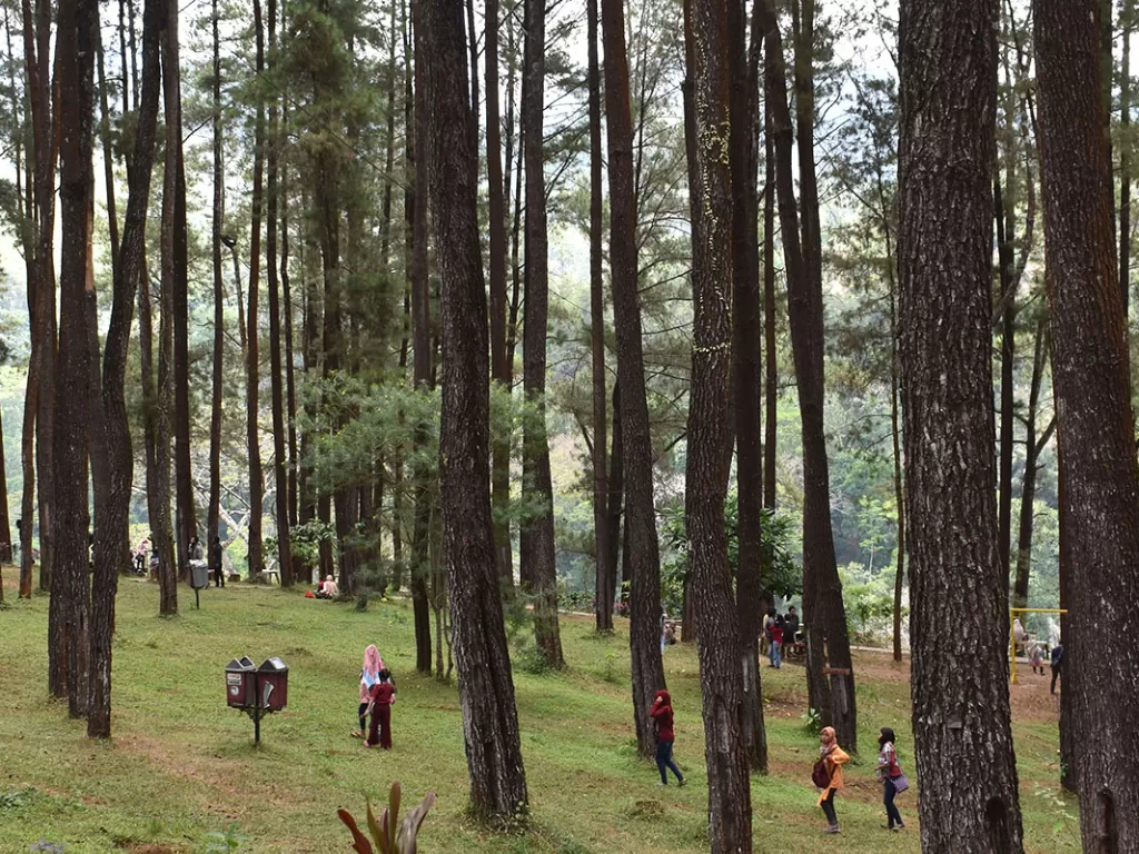 Wisatawan menikmati suasana kawasan hutan pinus Nongko Ijo di lereng Gunung Wilis, Kare, Kabupaten Madiun, Jawa Timur, Minggu (4/10/2020). (Photo/ANTARA FOTO/Siswowidodo)