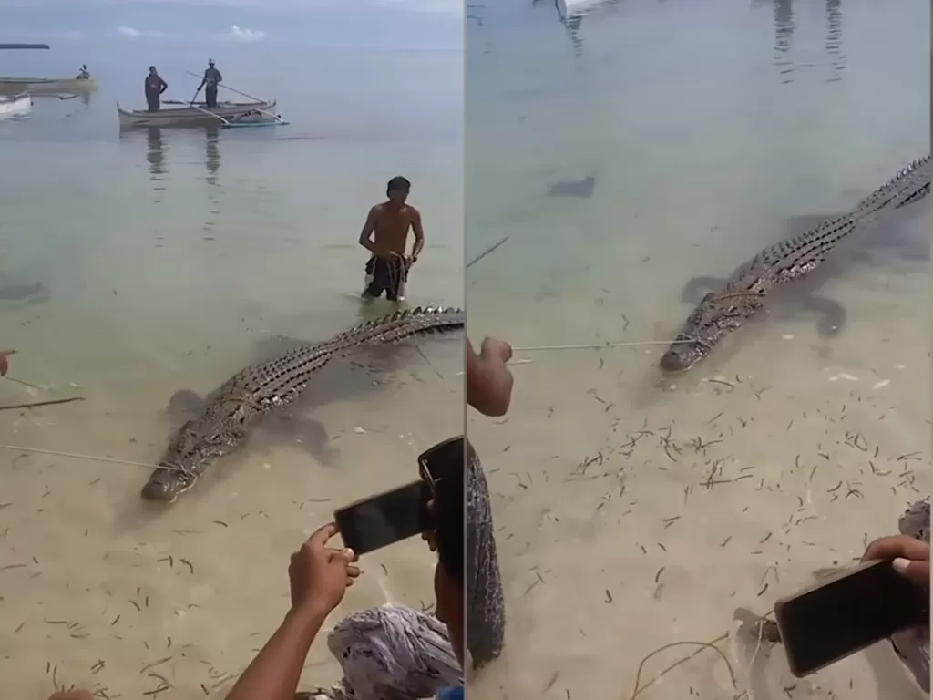 Cuplikan saat para warga di Filipina yang menangkap buaya besar di pantai. (photo/Youtube/Viral Press)