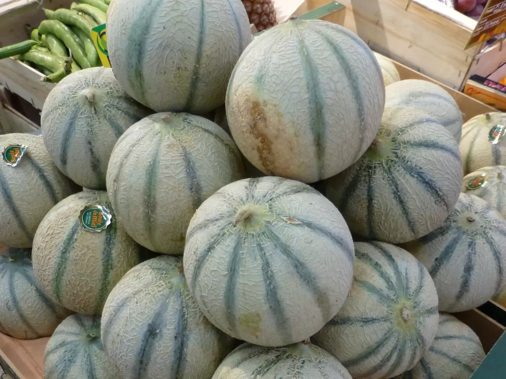 Melon Prancis 'Charentais'. (Flickr/Demuths Cookery School)