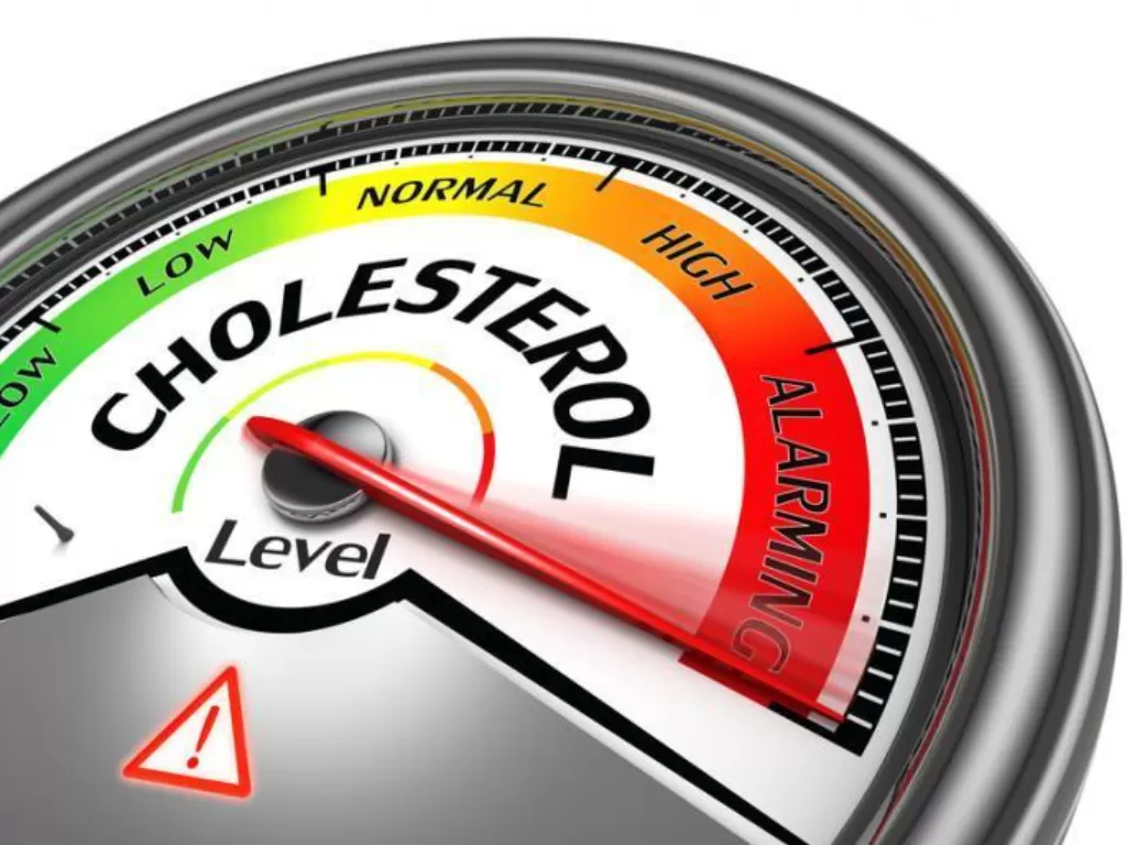 Ilustrasi kolesterol tinggi (medicalnewstoday.com)